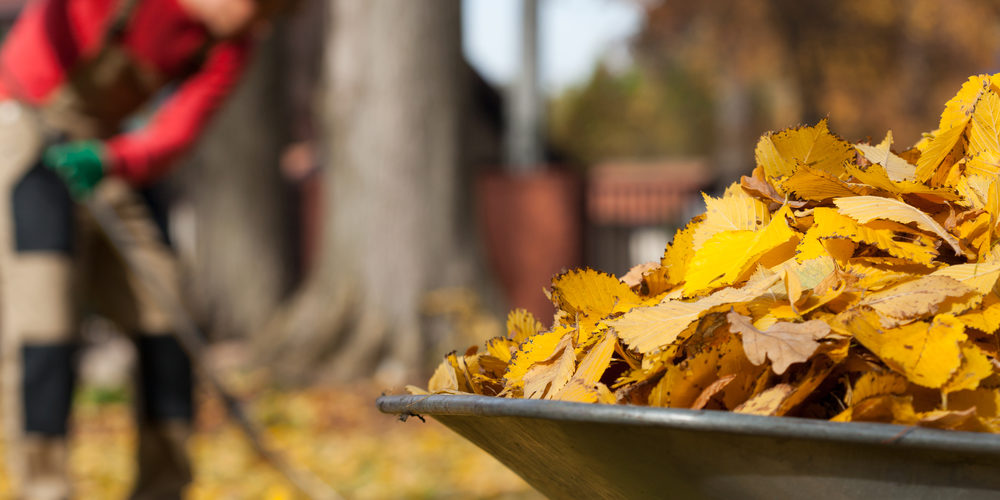 10 Tips To Rake Without the Ache - Mather Hospital